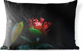 Buitenkussens - Tuin - Een foto van een tropische bloem op een zwarte achtergrond - 60x40 cm