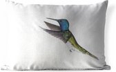 Buitenkussens - Tuin - Zijaanzicht van een vliegende blauwe met groene Kolibrie - 50x30 cm