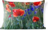 Buitenkussens - Tuin - Kleurrijke Klaprozen in Nederland - 50x30 cm