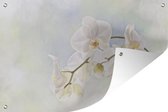 Une illustration de poster de jardin orchidées blanches 180x120 cm - Toile de jardin / Toile d'extérieur / Peintures d'extérieur (décoration de jardin) XXL / Grand format!