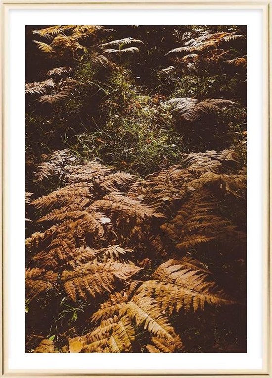 Poster Met Lijst - Droge Gele Herfst Poster (21x30cm)