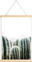 JUNIQE - Posterhanger Cactus 1 -30x45 /Groen & Wit