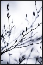 JUNIQE - Poster in kunststof lijst Winter Branches 2 -20x30 /Wit &