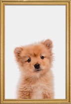 JUNIQE - Poster met houten lijst Puppy II -30x45 /Bruin