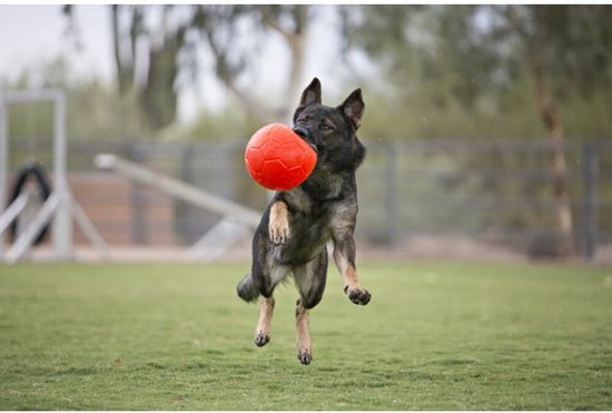 Jolly Pets Soccer Ball  -  Jouet pour chien  -  Jouet à rapporter durable  -  Jollyflex plastique trà¨s robuste  -  Jouet flottant pour chien  -  Pour grands chiens  -  à˜20cm - Orange