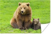 Bruine beer met jong in het gras poster papier 90x60 cm - Foto print op Poster (wanddecoratie woonkamer / slaapkamer) / Wilde dieren Poster