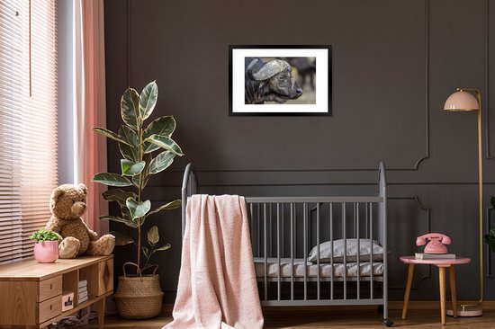 Photo encadrée - Pic à bec rouge sur cadre photo buffle noir avec passe-partout blanc 40x60 60x40 cm - Affiche encadrée (Décoration murale salon / chambre)