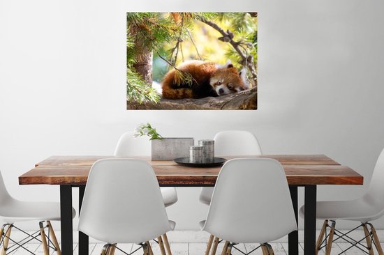 Loussiesd Leuke panda fleece deken voor slaapbank beer bedrukt decoratief cartoon gigantische panda ontwerp sherpa deken wild dier dubbel 152 x 180 cm Loussiesd Leuke panda fleece deken voor slaapbank beer bedrukt decoratief cartoon gigantische panda ontwerp sherpa deken wild dier dubbel 152 x 180 cm