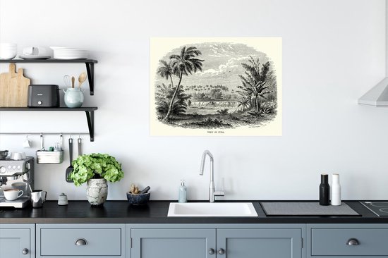 Une ancienne photo nature sur Cuba comme affiche d'illustration 80x60 cm - Tirage photo sur Poster (décoration murale salon / chambre)
