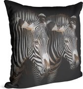 Zebra koppel op zwarte achtergrond - Foto op Sierkussen - 40 x 40 cm