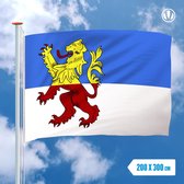Vlag Neder-Betuwe 200x300cm