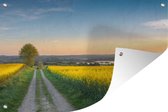 Tuinposter - Tuindoek - Tuinposters buiten - Bloemenveld - Geel - Bloemen - 120x80 cm - Tuin