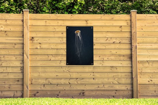 Méduse sur fond sombre affiche de jardin toile en vrac 60x90 cm - Toile de jardin / Toile d'extérieur / Peintures pour l'extérieur (décoration de jardin)