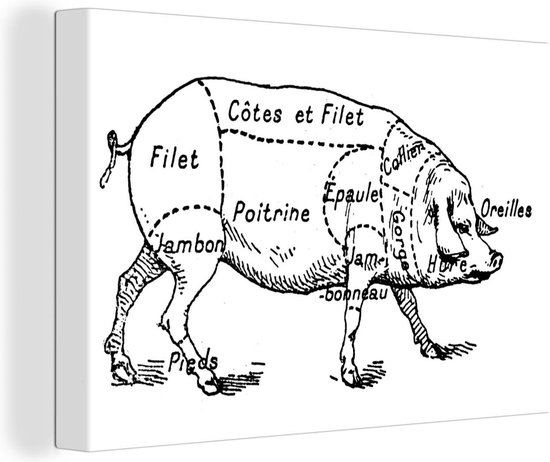 Tableau Tableau Vintage Dessin du Schéma du Boucher du Cochon - 30x20 cm - Décoration murale