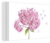 Gros plan hortensia sur fond blanc toile 2cm 60x40 cm - Tirage photo sur toile (Décoration murale salon / chambre) / Peintures Fleurs sur toile