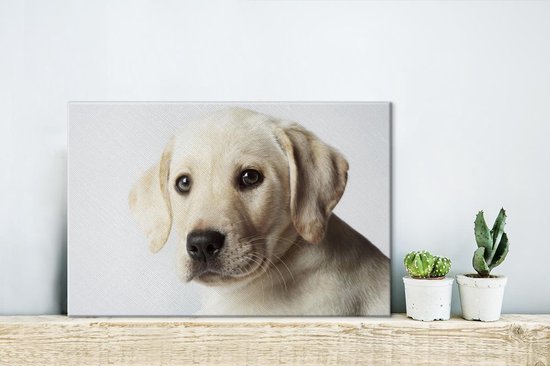 Portrait de chiot Labrador sur toile 2cm 30x20 cm - petit - Tirage photo sur toile (Décoration murale salon / chambre) / Peintures sur toile pour Animaux domestiques