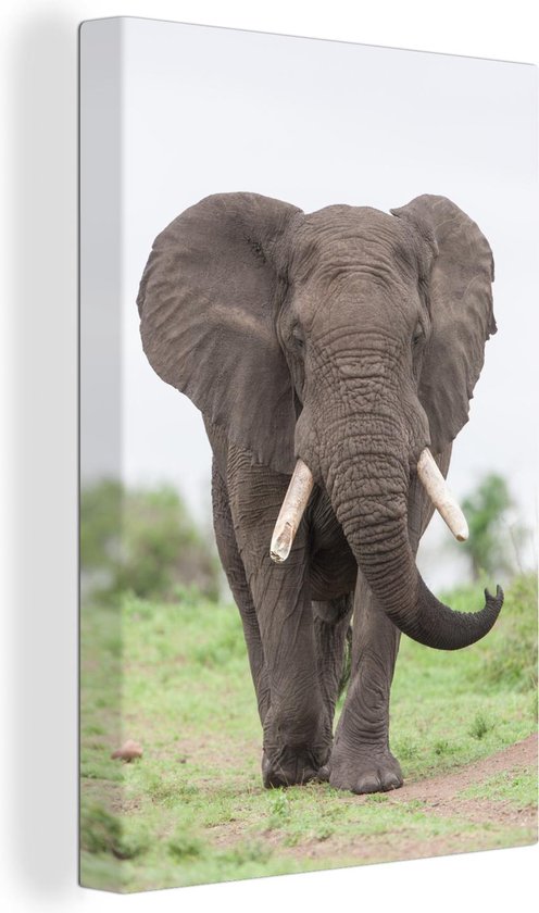 Peintures sur toile - Éléphant venant en sens inverse - 20x30 cm - Décoration murale