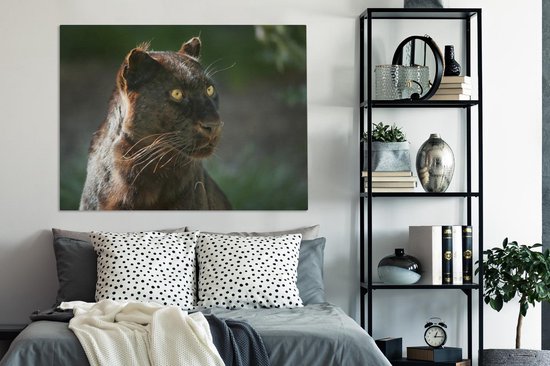 Tableaux sur toile Panthère - Gros plan - Zwart - Peintures cm - Décoration murale