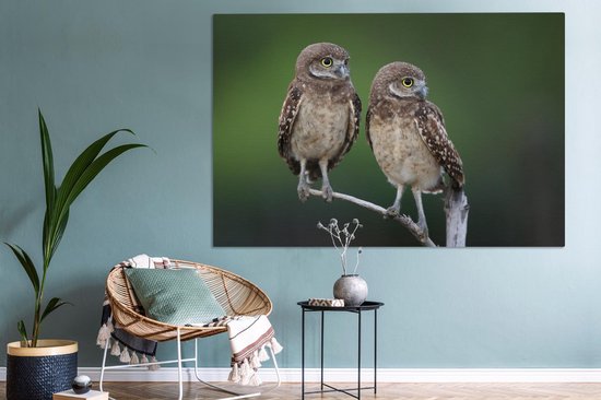 Tableau sur toile Deux hiboux des cavernes sur une branche - 150x100 cm - Décoration murale