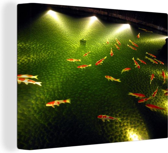 Canvas Schilderij Een grote groep koi karpers die in een tuinvijver zwemmen in de nacht - 40x30 cm - Wanddecoratie