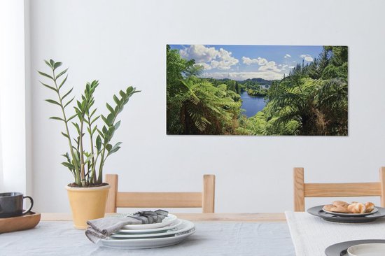 Panorama du parc national de Whanganui en Nouvelle-Zélande Toile 80x40 cm - Tirage photo sur toile (Décoration murale salon / chambre)