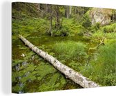 Étang dans les bois du parc national de Tiveden en Suède Toile 90x60 cm - Tirage photo sur toile (Décoration murale salon / chambre)