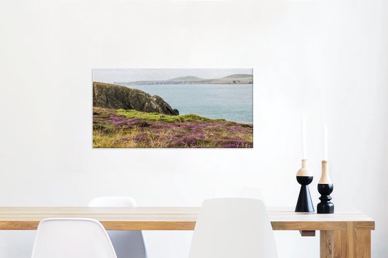 Herbe anglaise sur les falaises du parc national de Pembrokeshire Coast Toile 80x40 cm - Tirage photo sur toile (Décoration murale salon / chambre)