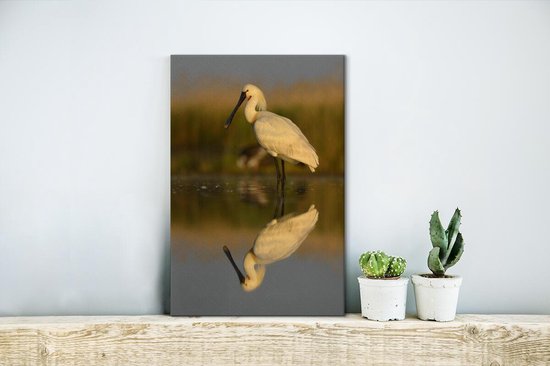 Reflet d'une spatule dans l'eau calme Toile 20x30 cm - petit - Tirage photo sur toile (Décoration murale salon / chambre)