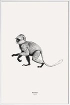 JUNIQE - Poster in kunststof lijst Monkey -40x60 /Grijs & Ivoor