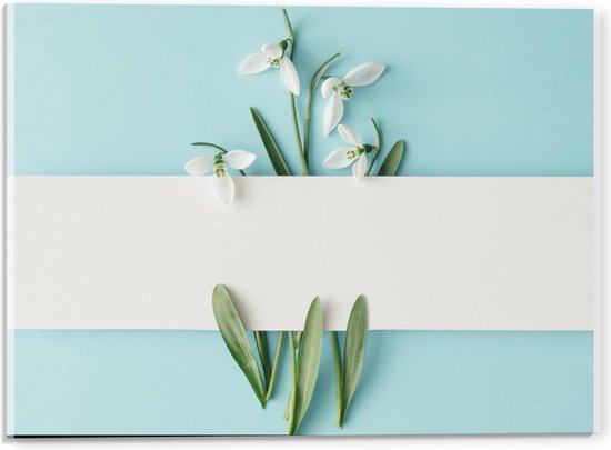 Acrylglas - Witte Bloemen achter Wit Vlak op Blauwe Achtergrond - 40x30cm Foto op Acrylglas (Met Ophangsysteem)