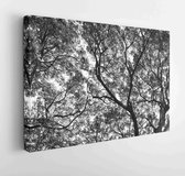 Art in the branches of atree with abstract perspectives.  - Modern Art Canvas - Horizontal - 577061614 - 50*40 Horizontal