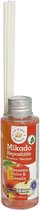 Casadelasaromas Geurstokjes Mikado Appel 100 Ml Oranje