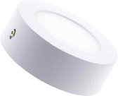 Hallogeenlamp M-Tech Z8 H11 12V 55W PGJ19-2