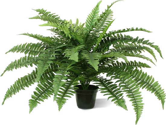 Boston Varen deluxe kunstplant - 65cm - in pot