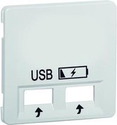 Peha Standard centraalplaat t.b.v. sokkel USB 2V levend wit 239033