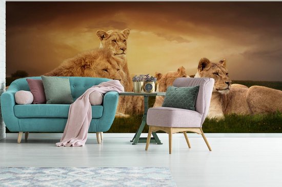 Papier peint - Papiers Papier peint photo Lions - Herbe - Ciel - Largeur 395 cm x Hauteur 220 cm