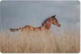 Muismat Quarter Paard - Quarter paard veulen in lang gras muismat rubber - 27x18 cm - Muismat met foto