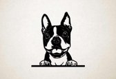 Wanddecoratie - Hond - Boston Terrier 6 - L - 78x75cm - Zwart - muurdecoratie - Line Art
