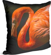 Flamingo op zwarte achtergrond - Foto op Sierkussen - 60 x 60 cm