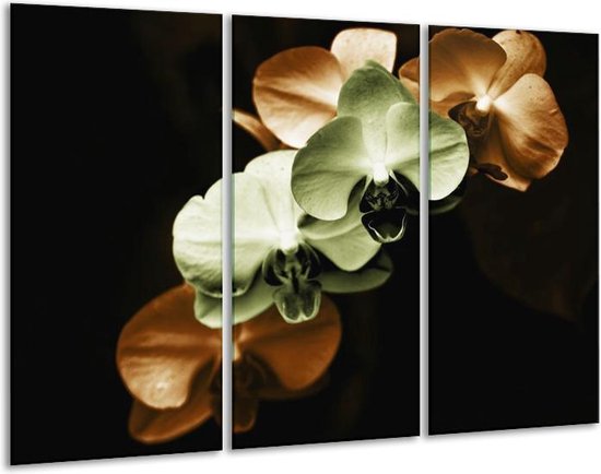 Peinture sur toile Orchidée | Vert, marron, noir | 120x80cm 3 Liège