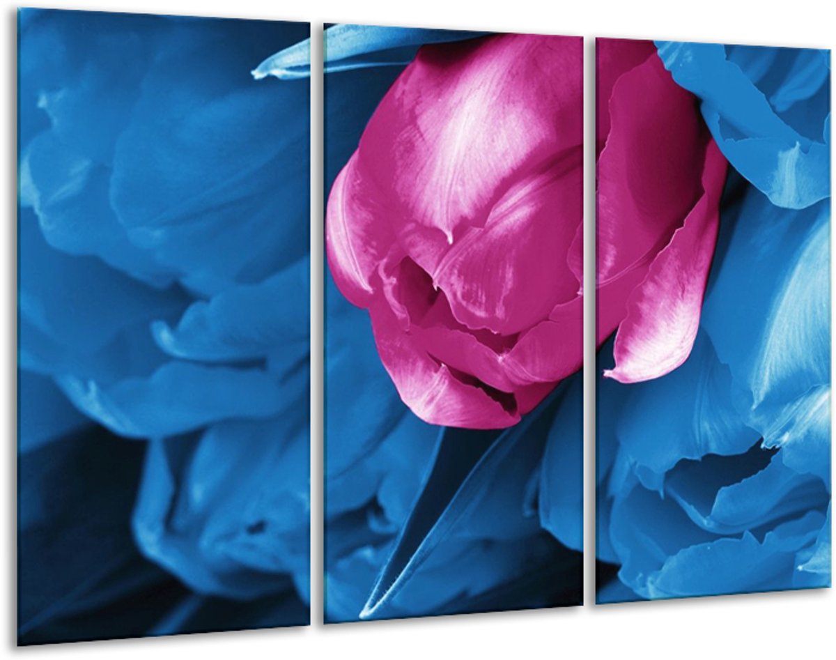 GroepArt - Schilderij - Tulp - Roze, Blauw - 120x80cm 3Luik - 6000+ Schilderijen 0p Canvas