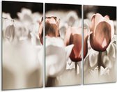 GroepArt - Schilderij -  Tulpen - Bruin, Grijs, Wit - 120x80cm 3Luik - 6000+ Schilderijen 0p Canvas Art Collectie