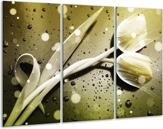 Peinture sur toile Tulipe | Gris, blanc | 120x80cm 3 Liège