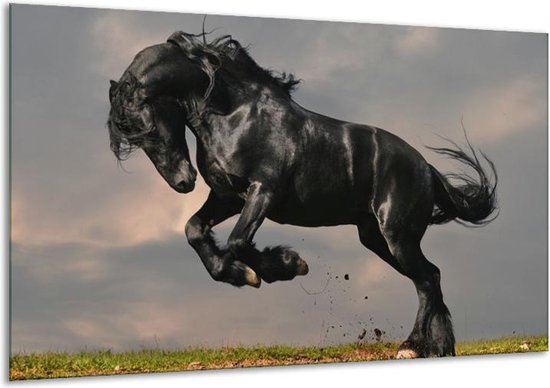 Canvas schilderij Paarden | Zwart, Wit, Grijs | | F002619