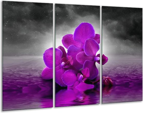 Peinture sur verre d'orchidée | Violet, gris | 120x80cm 3 Liège | Tirage photo sur verre |  F005850