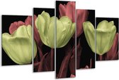 Glasschilderij Tulp - Geel, Rood, Zwart - 170x100cm 5Luik - Foto Op Glas - Geen Acrylglas Schilderij - 6000+ Glasschilderijen Collectie - Wanddecoratie