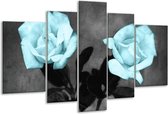 Glasschilderij Roos - Blauw, Grijs, Zwart - 170x100cm 5Luik - Foto Op Glas - Geen Acrylglas Schilderij - 6000+ Glasschilderijen Collectie - Wanddecoratie