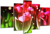 Glasschilderij Tulp - Rood, Groen, Zwart - 170x100cm 5Luik - Foto Op Glas - Geen Acrylglas Schilderij - 6000+ Glasschilderijen Collectie - Wanddecoratie