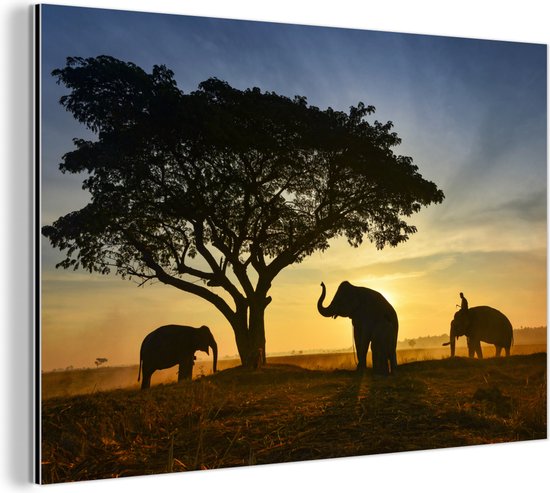 Wanddecoratie Metaal - Aluminium Schilderij Industrieel - Silhouet van Thaise olifanten tijdens zonsopgang - 60x40 cm - Dibond - Foto op aluminium - Industriële muurdecoratie - Voor de woonkamer/slaapkamer