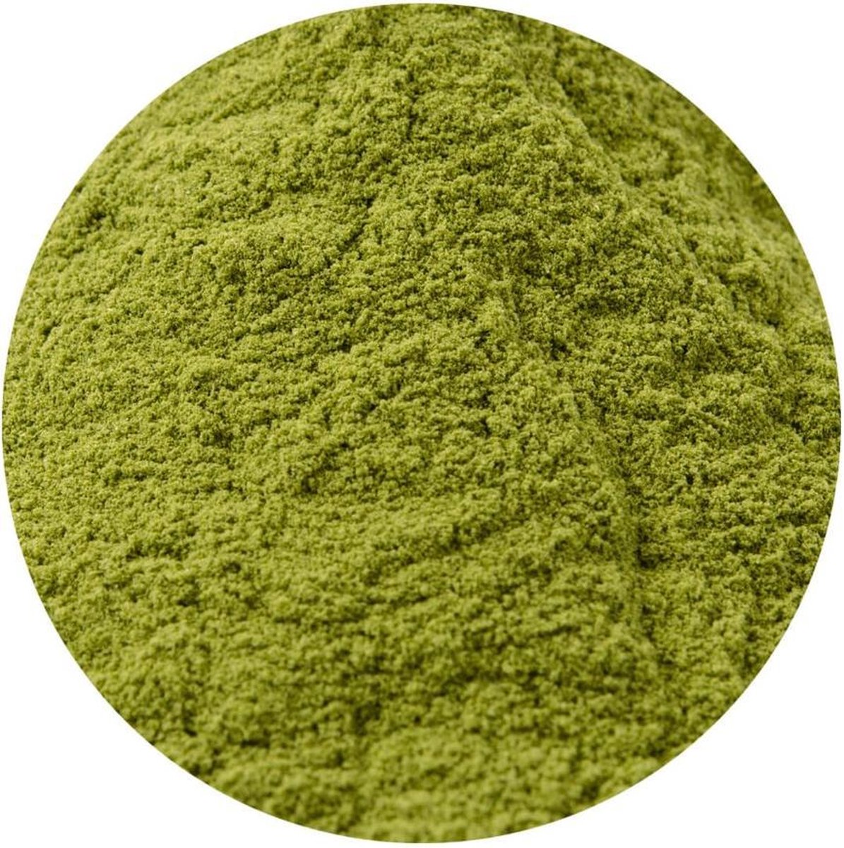 Goedkoopste Dille Poeder - 1 Kg - Holyflavours